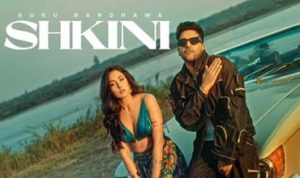 Shkini Lyrics in Hindi