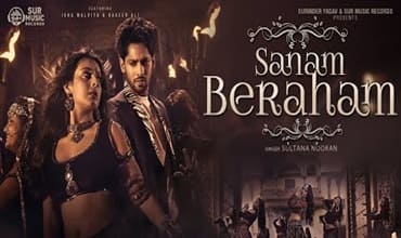 Sanam Beraham Lyrics in Hindi