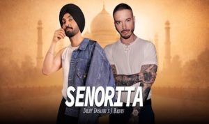 Senorita Lyrics in Hindi